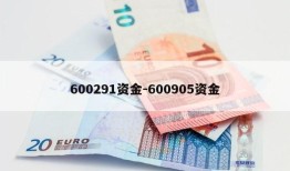 600291资金-600905资金