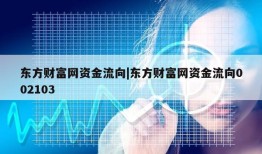 东方财富网资金流向|东方财富网资金流向002103