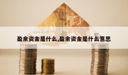 盈余资金是什么,盈余资金是什么意思