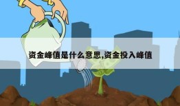 资金峰值是什么意思,资金投入峰值