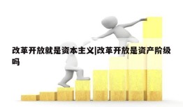 改革开放就是资本主义|改革开放是资产阶级吗