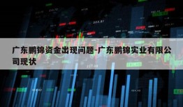 广东鹏锦资金出现问题-广东鹏锦实业有限公司现状