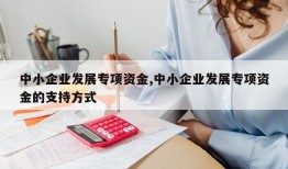 中小企业发展专项资金,中小企业发展专项资金的支持方式