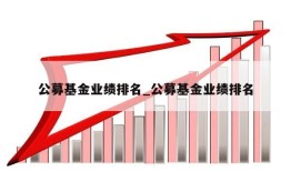 公募基金业绩排名_公募基金业绩排名