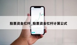 股票资金杠杆_股票资金杠杆计算公式