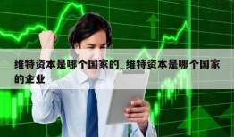 维特资本是哪个国家的_维特资本是哪个国家的企业