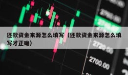 还款资金来源怎么填写（还款资金来源怎么填写才正确）