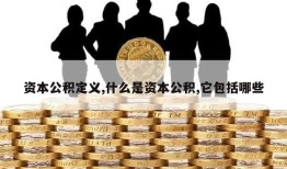 资本公积定义,什么是资本公积,它包括哪些