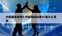 内脏脂肪指数8-内脏脂肪指数85是什么意思