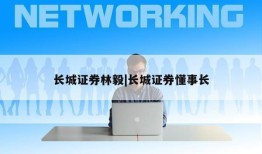 长城证券林毅|长城证券懂事长