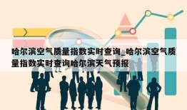 哈尔滨空气质量指数实时查询_哈尔滨空气质量指数实时查询哈尔滨天气预报