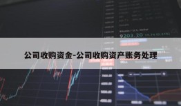 公司收购资金-公司收购资产账务处理