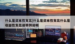 什么是资本性支出|什么是资本性支出什么是收益性支出请举例说明