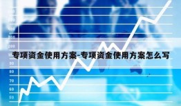 专项资金使用方案-专项资金使用方案怎么写