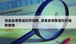 资金业务营运杠杆倍数_资金业务营运杠杆倍数原理