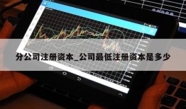 分公司注册资本_公司最低注册资本是多少