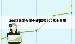 300指数基金哪个好|指数300基金有哪些