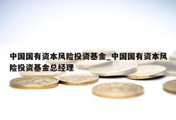 中国国有资本风险投资基金_中国国有资本风险投资基金总经理