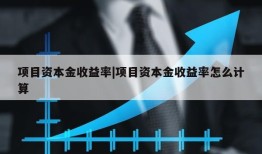 项目资本金收益率|项目资本金收益率怎么计算