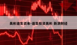 吴彬道生资本-道生投资吴彬 新浪财经