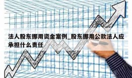 法人股东挪用资金案例_股东挪用公款法人应承担什么责任