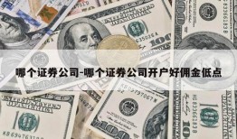 哪个证券公司-哪个证券公司开户好佣金低点