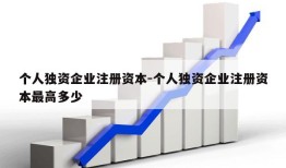 个人独资企业注册资本-个人独资企业注册资本最高多少