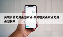 吴晓灵的无资金池试点-吴吴晓灵山试点无资金池视频