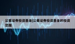 公募证券投资基金|公募证券投资基金的投资范围