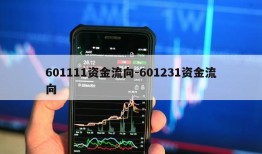 601111资金流向-601231资金流向