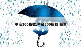 中证300指数,中证300指数 股票