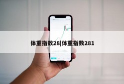 体重指数28|体重指数281