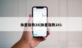 体重指数28|体重指数281