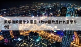 数学指数是什么意思（数学指数是什么意思举例）