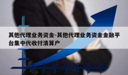 其他代理业务资金-其他代理业务资金金融平台集中代收付清算户