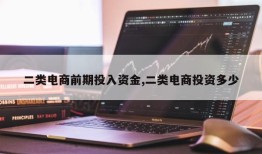 二类电商前期投入资金,二类电商投资多少