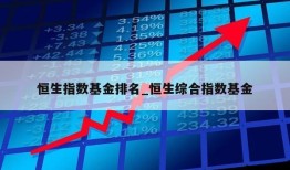 恒生指数基金排名_恒生综合指数基金