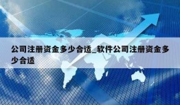 公司注册资金多少合适_软件公司注册资金多少合适