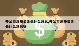 开公司注册资金是什么意思,开公司注册资金是什么意思呀