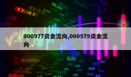 000977资金流向,000979资金流向