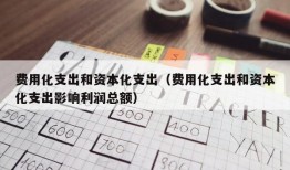 费用化支出和资本化支出（费用化支出和资本化支出影响利润总额）