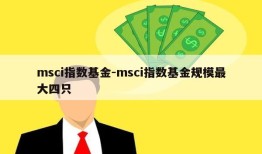 msci指数基金-msci指数基金规模最大四只