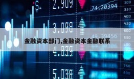 金融资本部门,金融资本金融联系