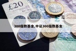 300指数基金,中证300指数基金