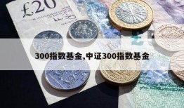 300指数基金,中证300指数基金