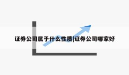 证券公司属于什么性质|证券公司哪家好