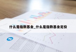 什么是指数基金_什么是指数基金定投