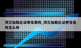 荷兰加勒比证券交易所_荷兰加勒比证券交易所怎么样