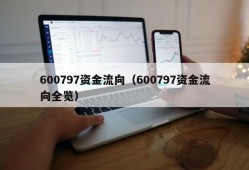 600797资金流向（600797资金流向全览）