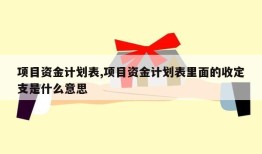 项目资金计划表,项目资金计划表里面的收定支是什么意思